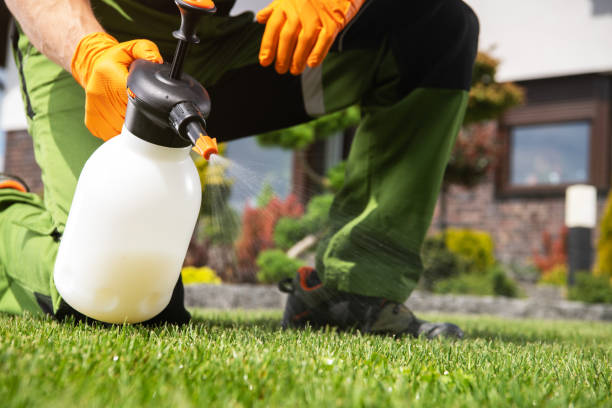 Pest Prevention Services in Sangaree, SC